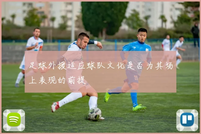 足球外援适应球队文化是否为其场上表现的前提