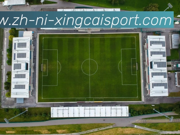 杏彩体育平台生态图